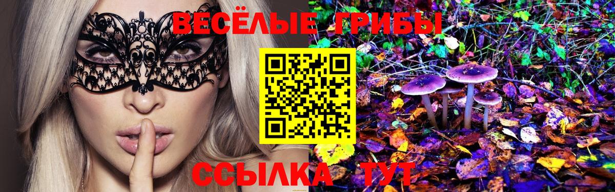 Галлюциногенные грибы Psilocybe  Вход с VPN  купить наркотики сайты  Моздок 