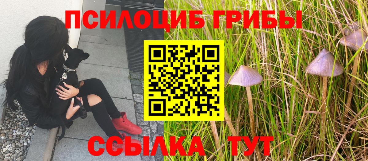 Галлюциногенные грибы ЛСД Моздок